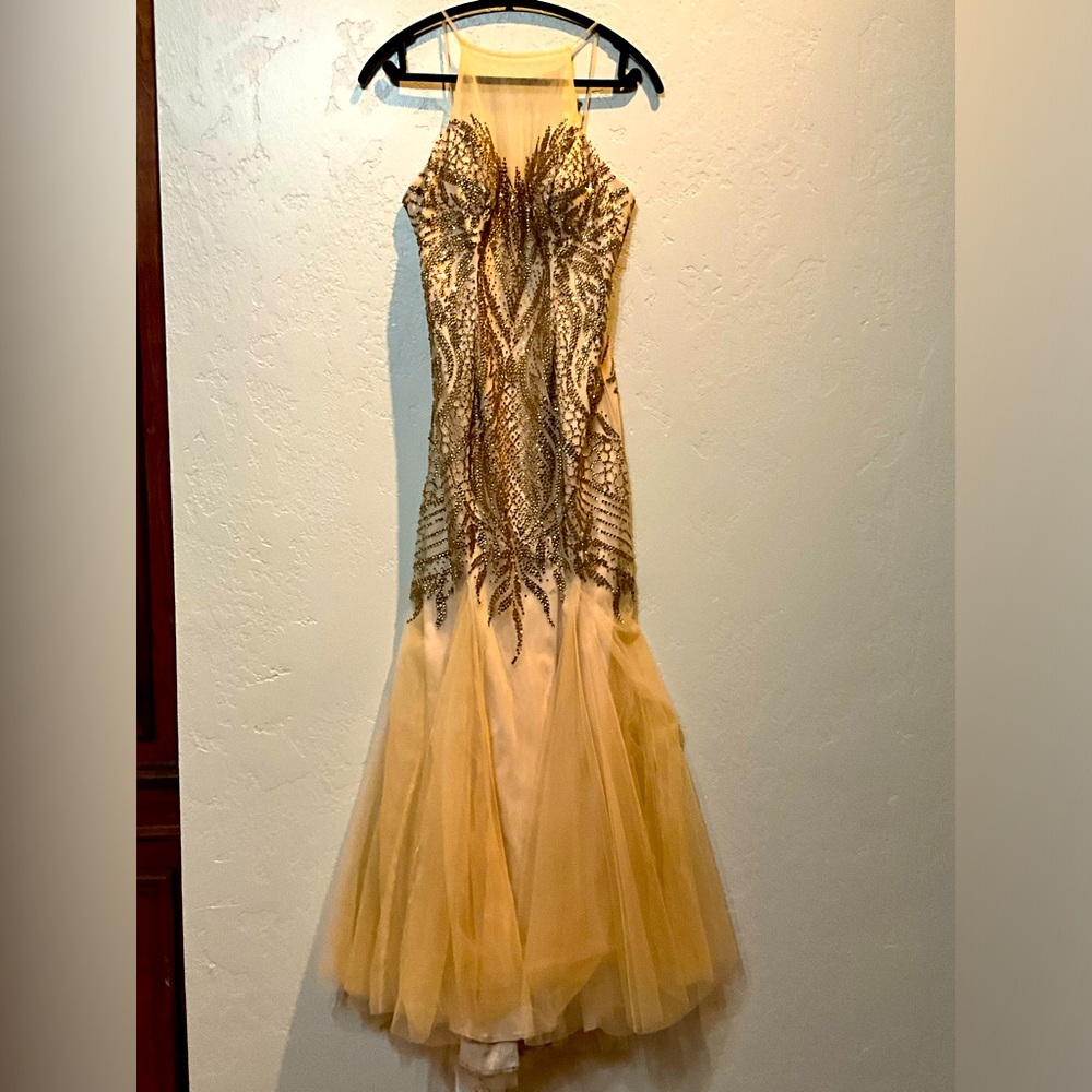 Really stunning gorgeous dress.